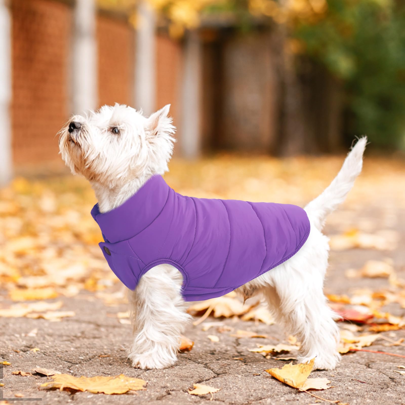 ASENKU dog winter coat purple elastic edges tailor snug fit for different breeds