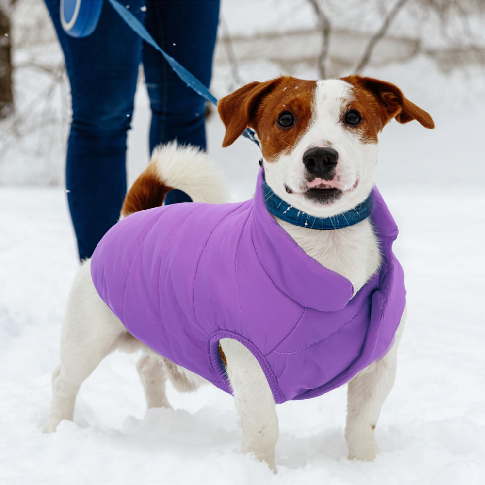 ASENKU dog winter coat purple size guide image helps you choose the perfect fit