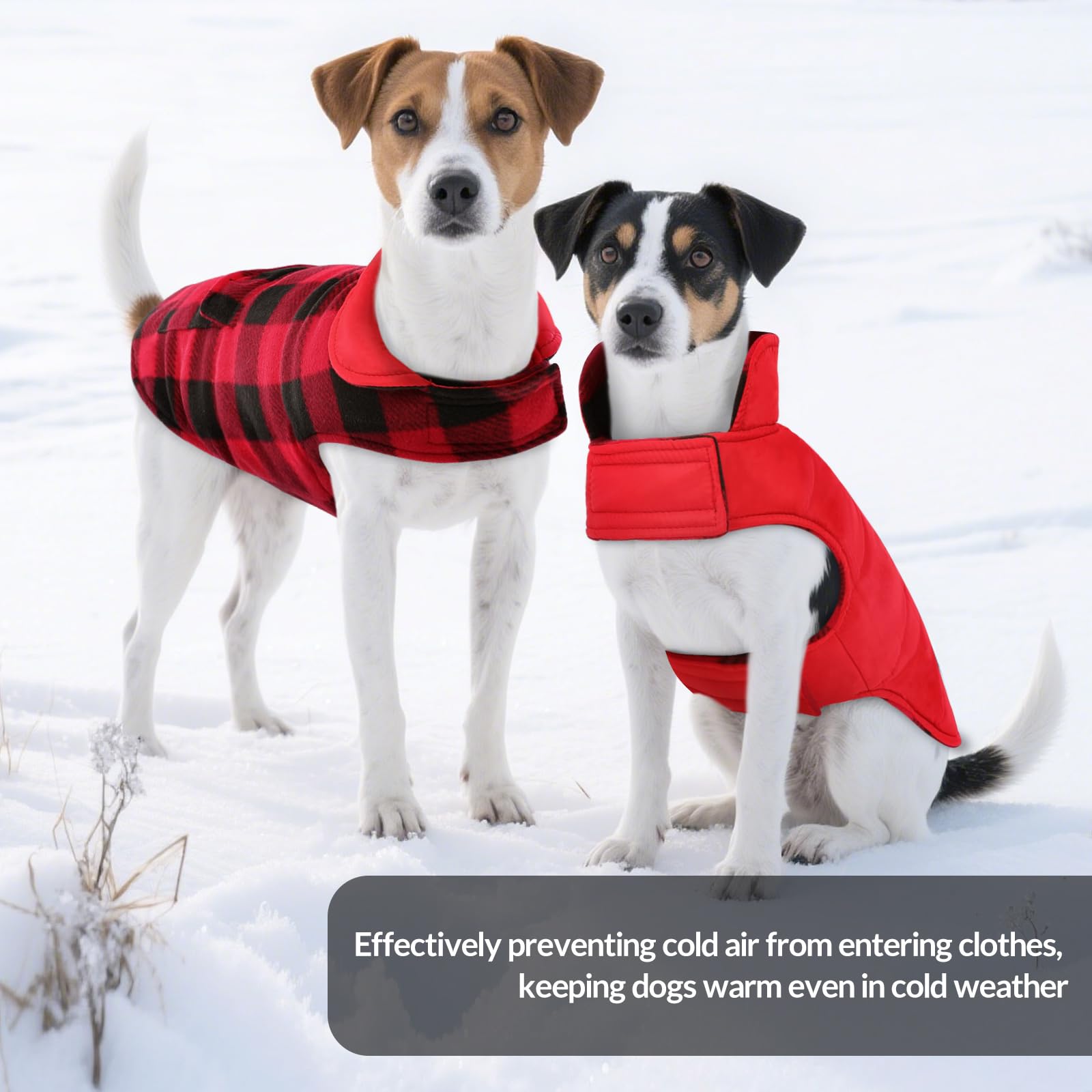 ASENKU coat shoulder detail illustrates flexible movement for active dogs