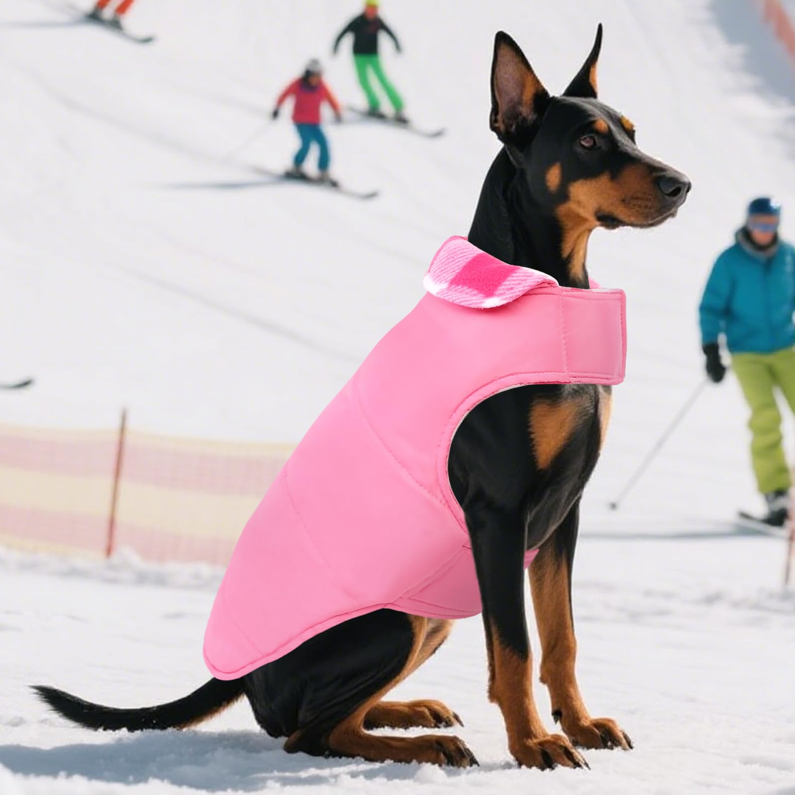 ASENKU dog winter coat size chart guide.