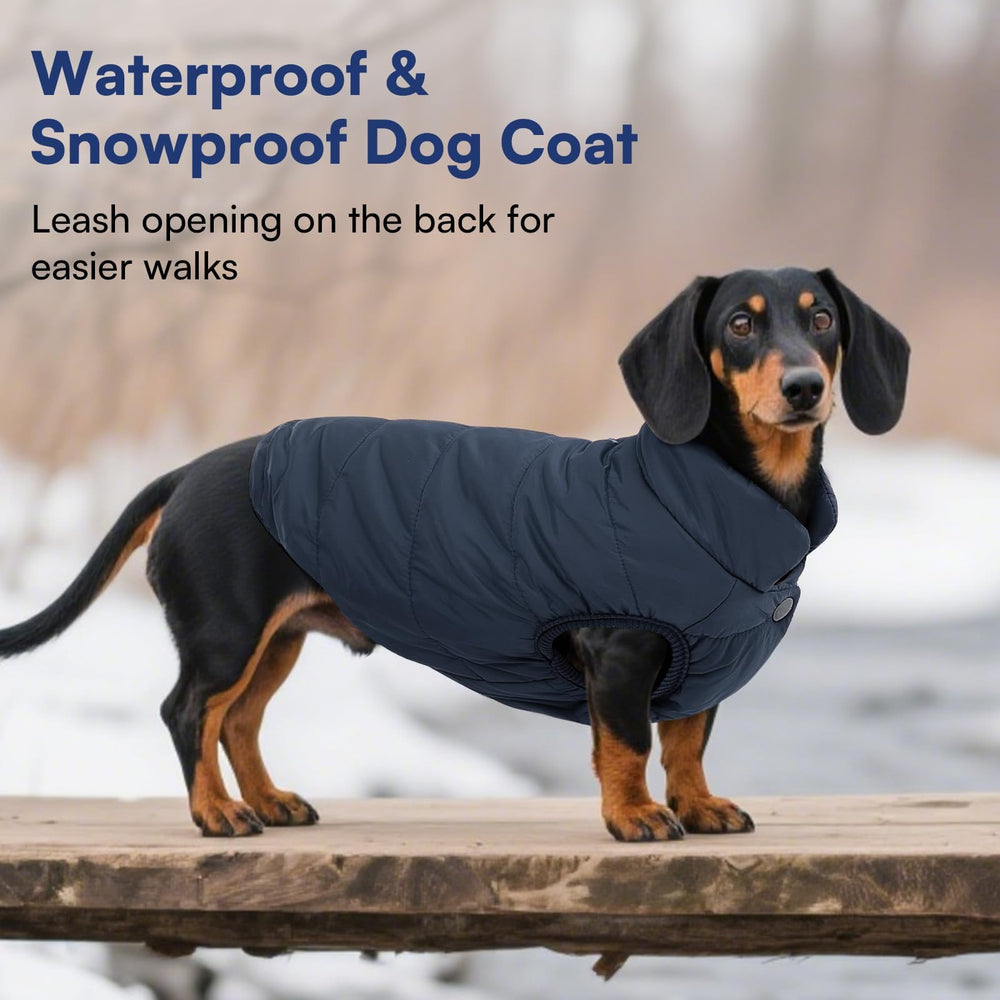 ASENKU dog winter coat stand collar provides extra neck warmth.
