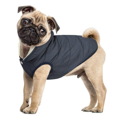 ASENKU dog winter coat stand collar highlights windproof warmth.