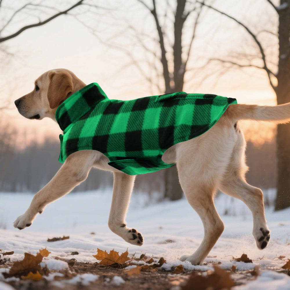 ASENKU dog winter coat folds compact for travel and storage warmth