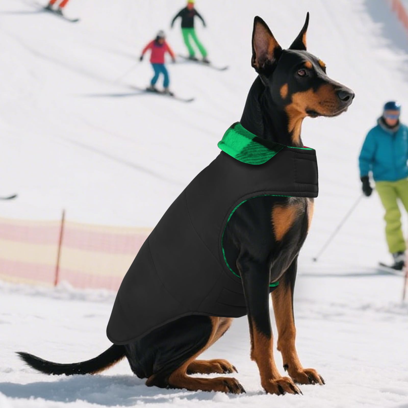 ASENKU dog winter coat two-sided wear option for versatile styling