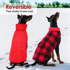 ASENKU dog coat waterproof close-up highlights durable outer shell for rain and snow