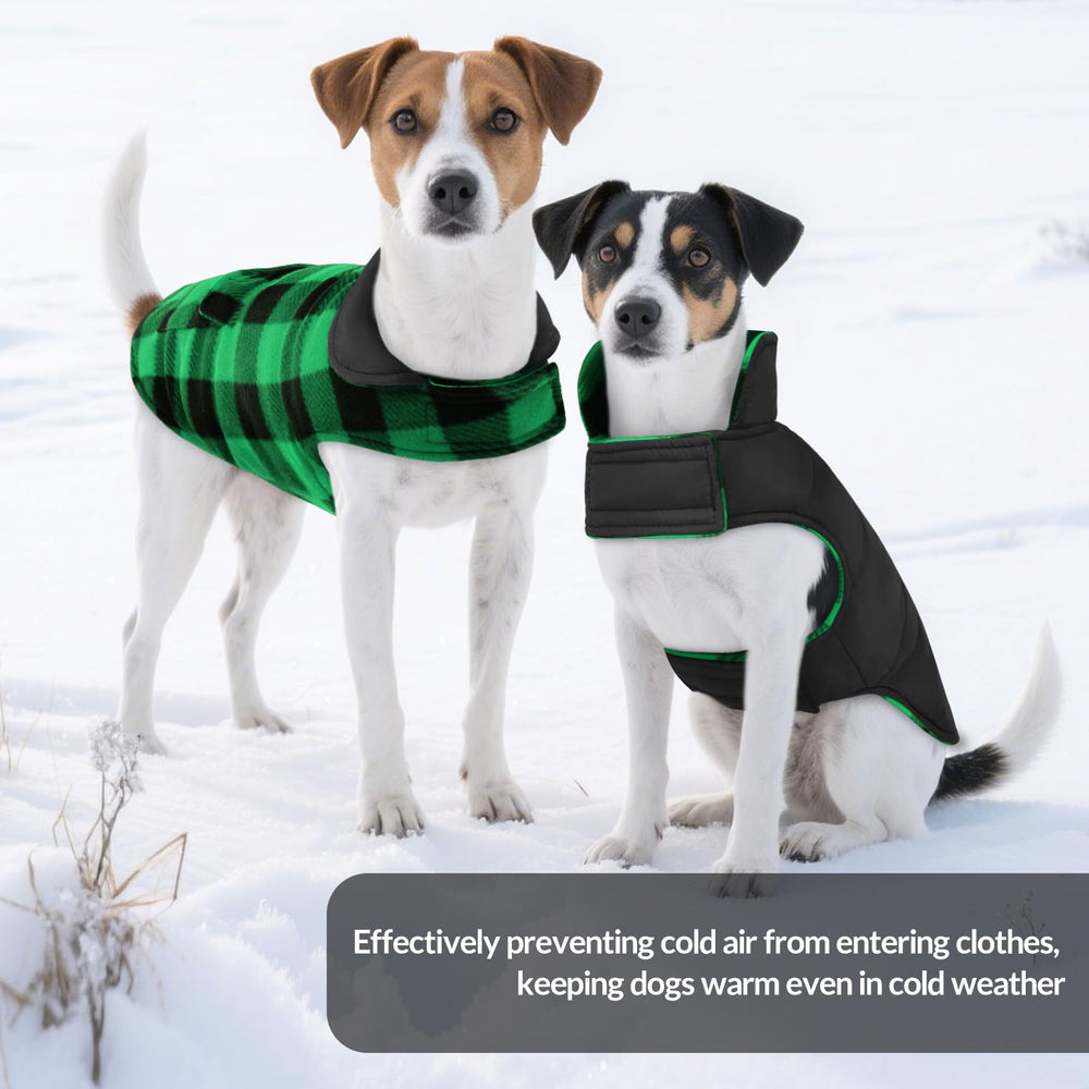 ASENKU waterproof windproof outer layer protects dogs in rain and breeze.