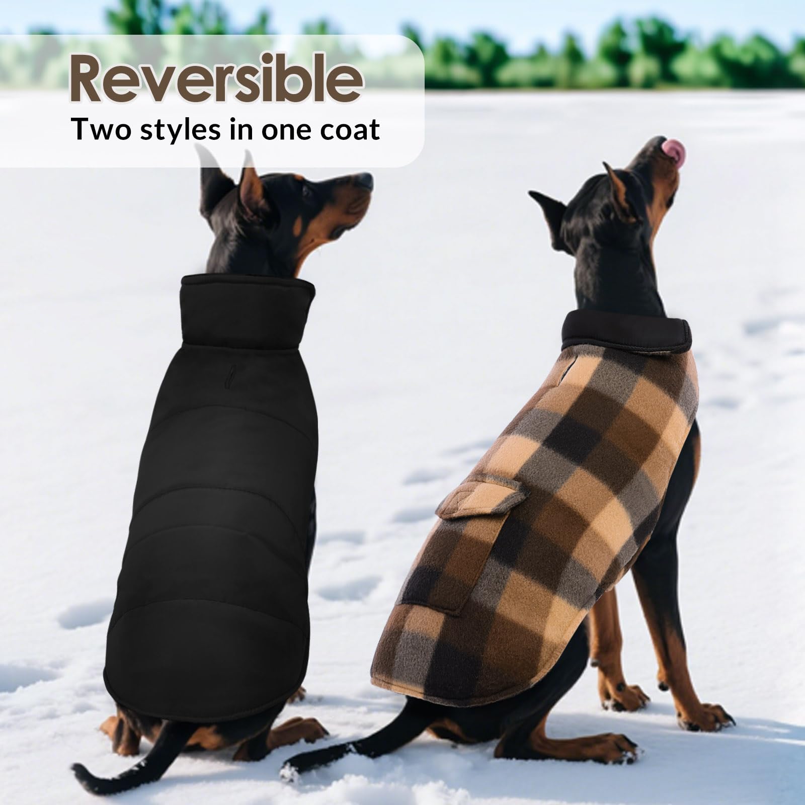 ASENKU warm lightweight coat suitable for indoor and outdoor adventures.