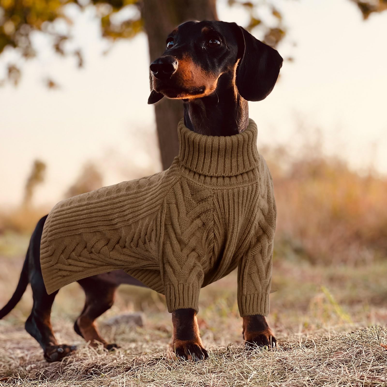 ASENKU extra-large dog sweater Arctic velvet closeup demonstrates warmth and breathability.