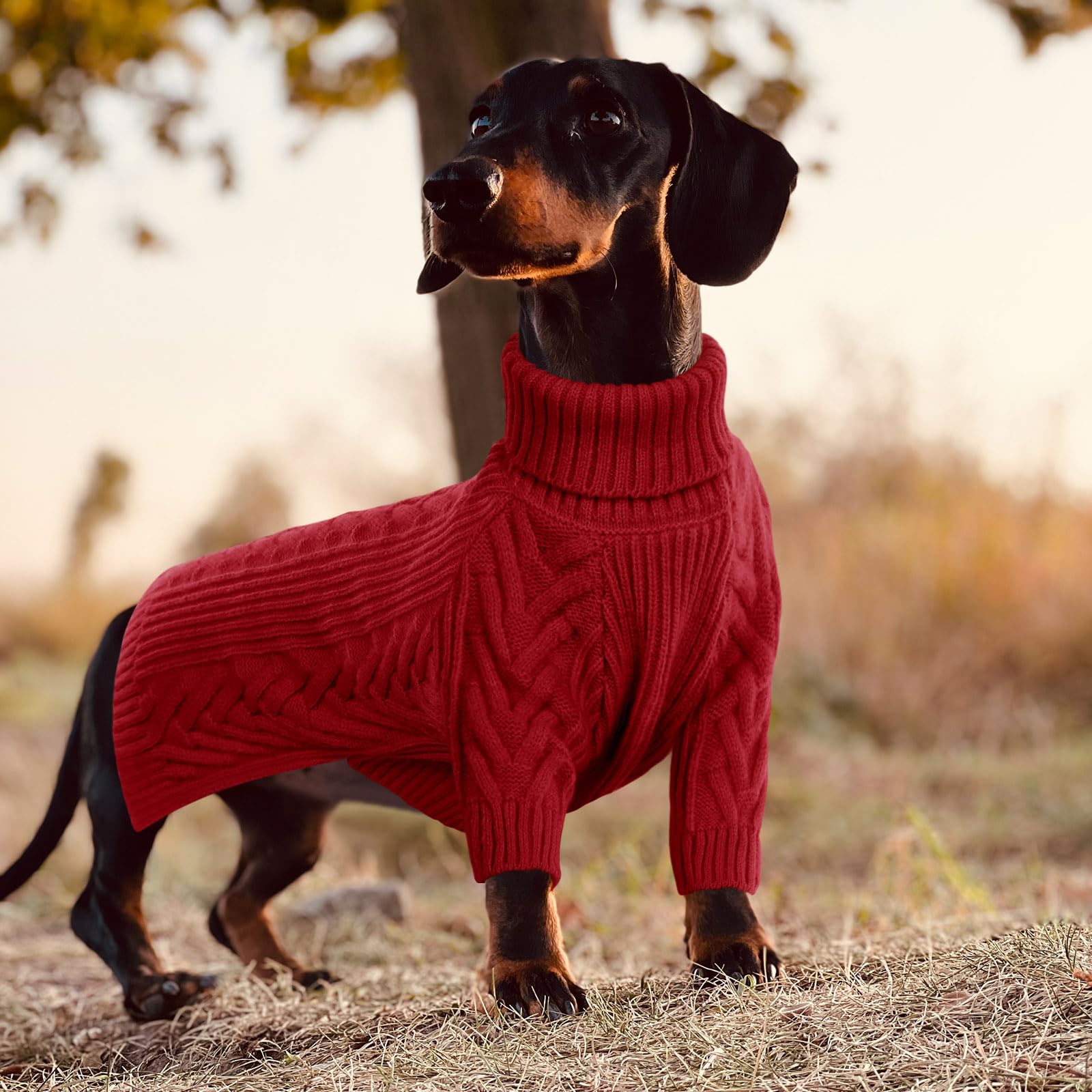 ASENKU extra-large dog sweater foldable cuffs red for easy on/off.