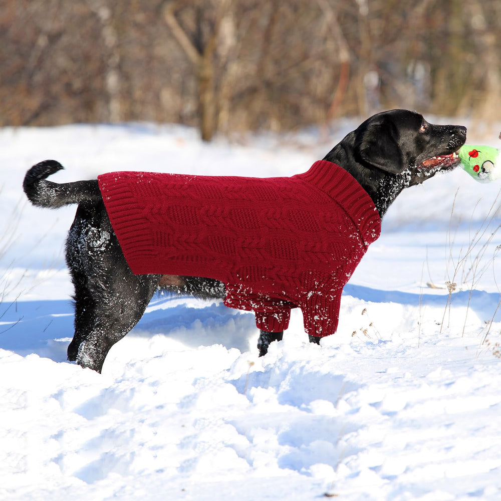 ASENKU holiday dog sweater easy on off for quick photo-ready wearing.