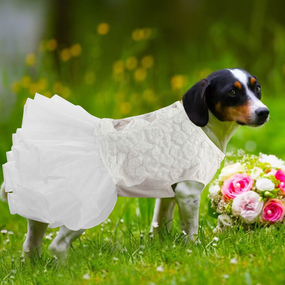 ASENKU versatile princess dress suits large dogs for formal occasions.