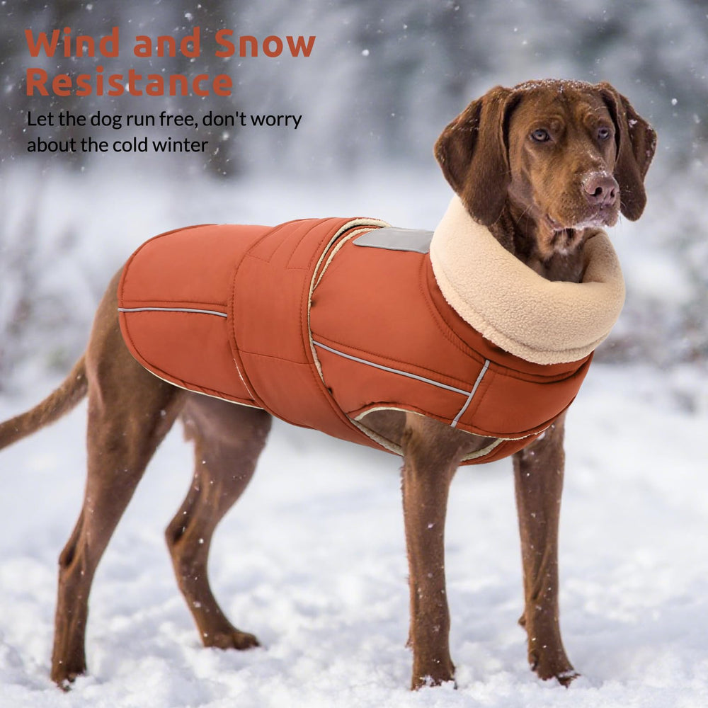 ASENKU Coat high collar folds down or raises for neck protection