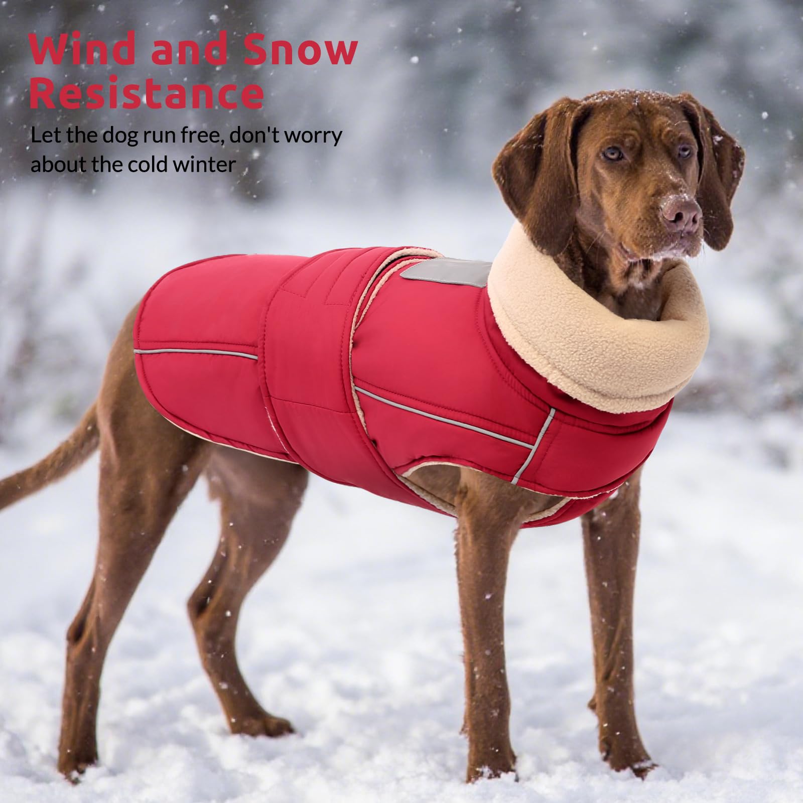 ASENKU warm dog coat rugged-outer-shell repels wind and moisture.