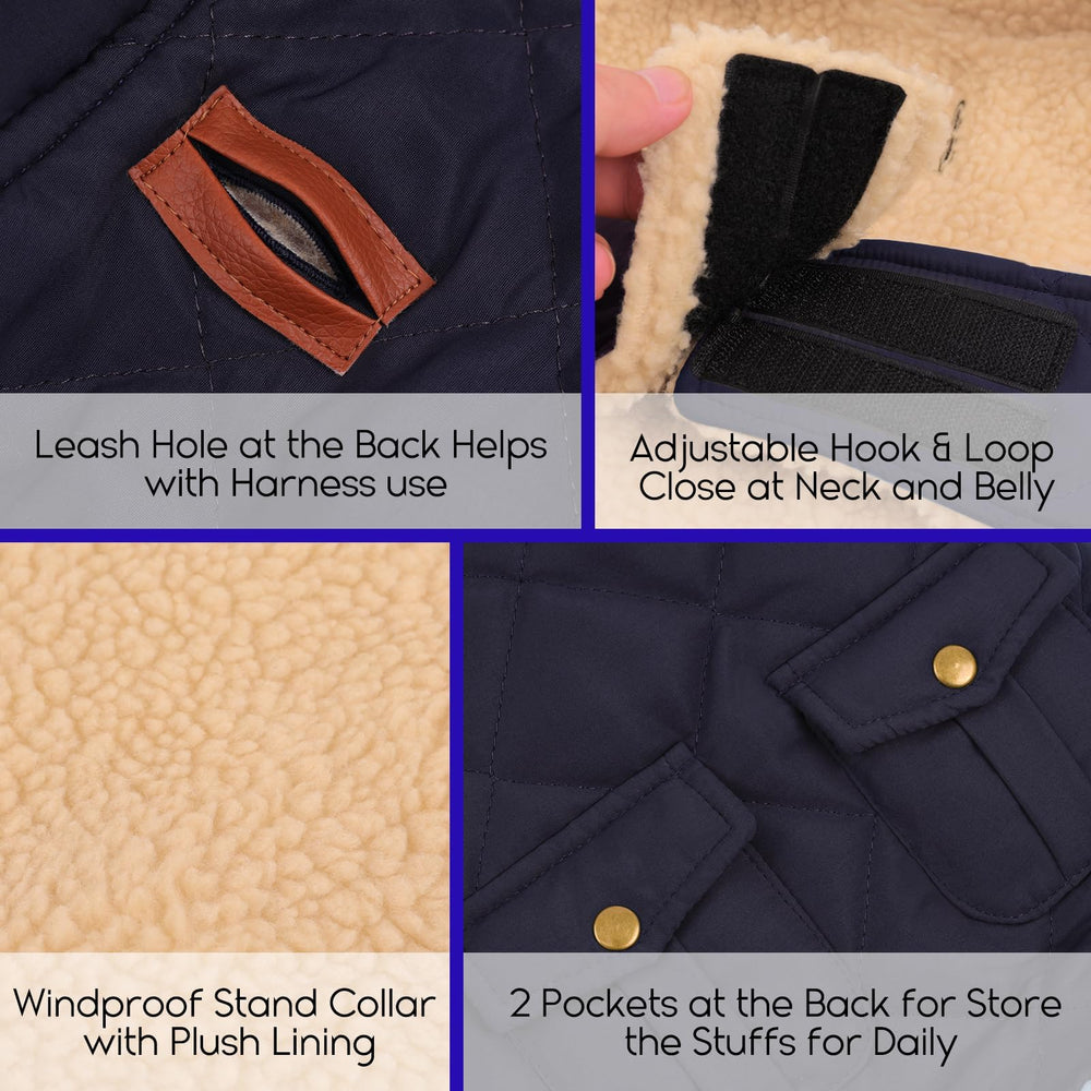 ASENKU warm dog coat in snow showing wind and snow resistance.