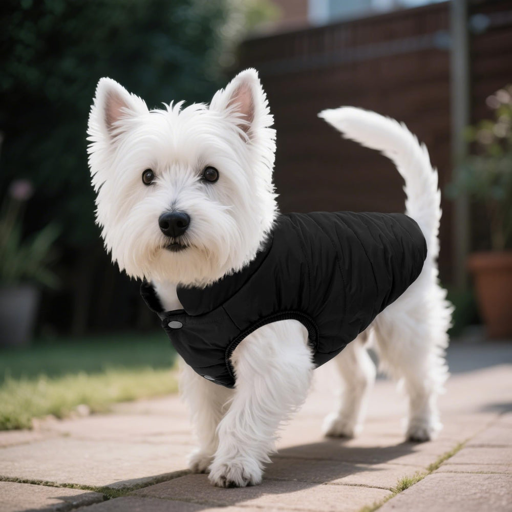 ASENKU Windproof Dog Winter Coat four-snap closure for easy on/off.