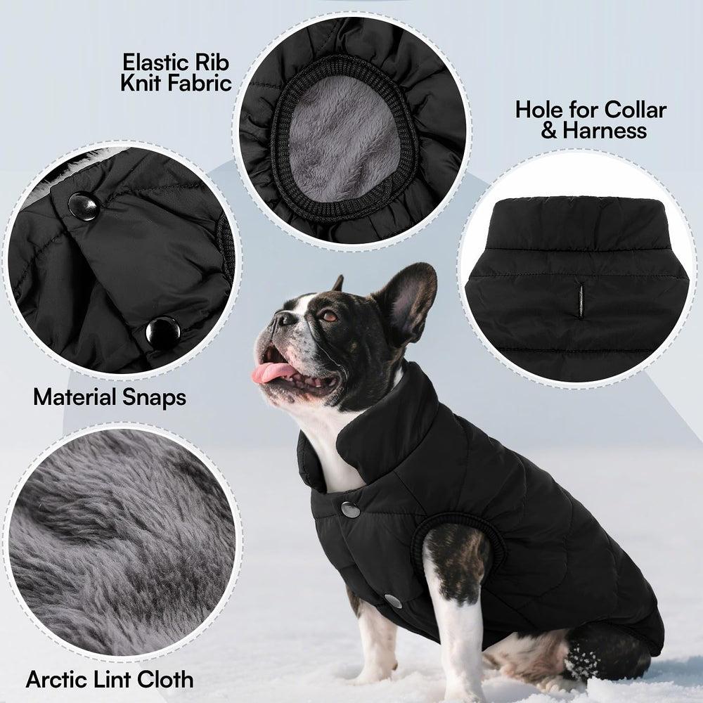 ASENKU Windproof Dog Winter Coat back view highlights full-body coverage.