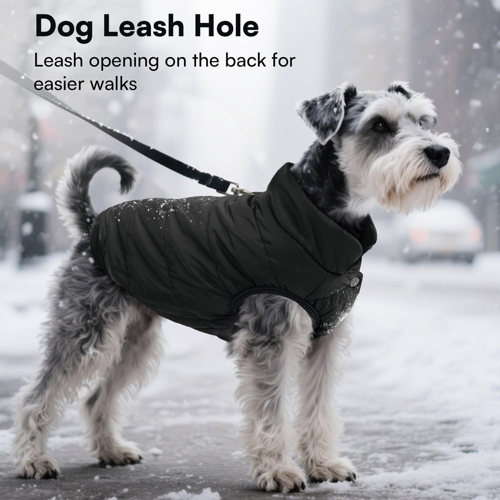 ASENKU Windproof Dog Winter Coat velcro and elastic edges ensure a secure fit.