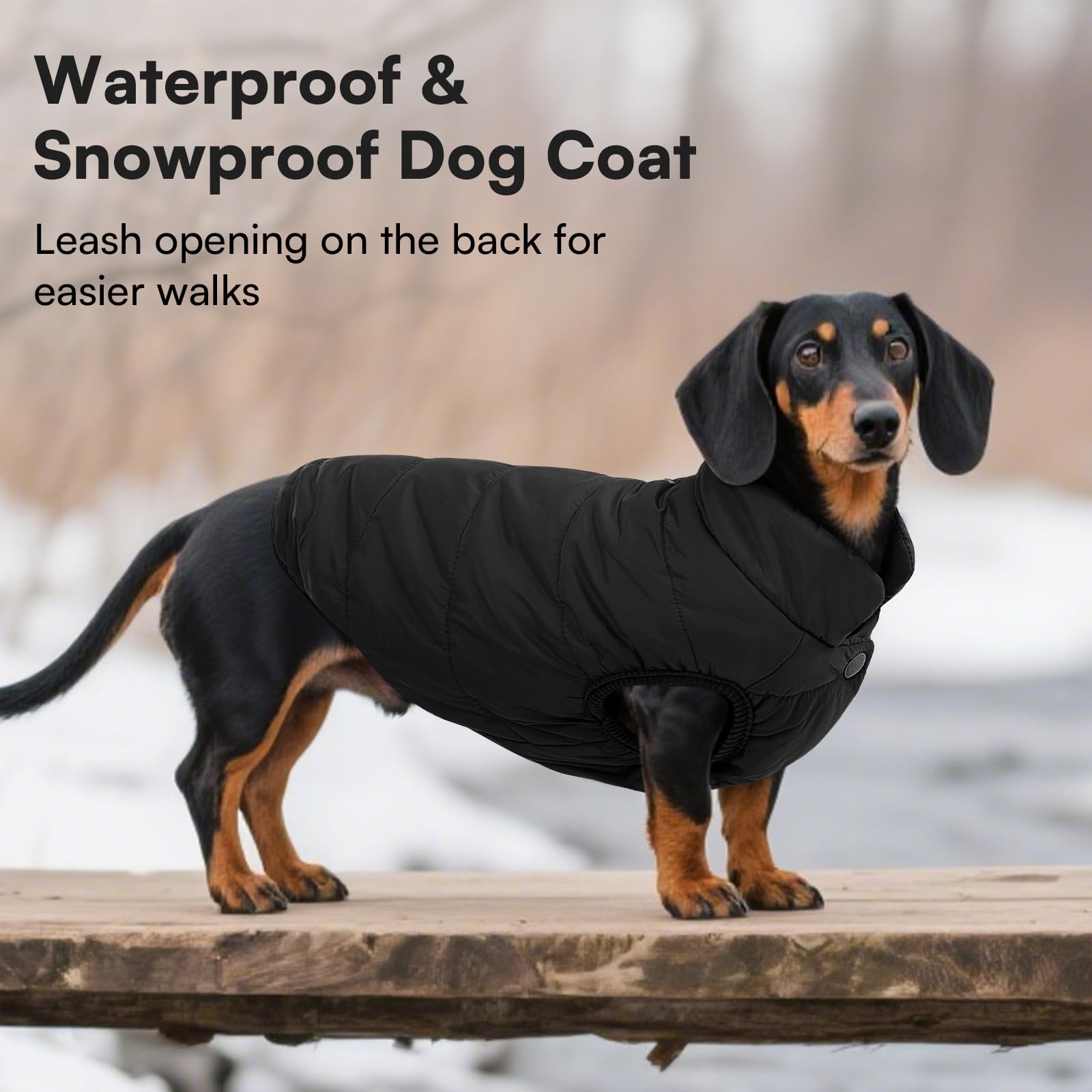 ASENKU Windproof Dog Winter Coat waterproof fabric demonstrates durable rainy-day protection.