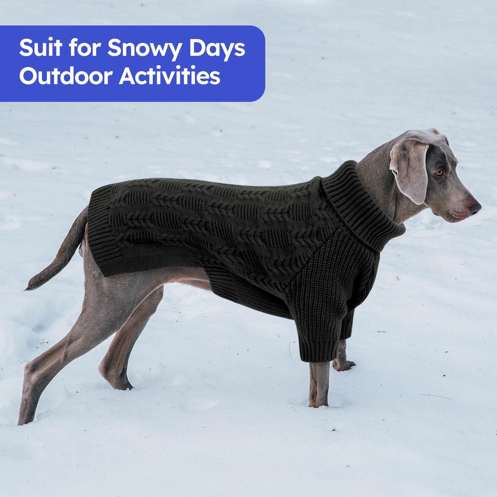 ASENKU XL dog sweater gift-ready packaging, ideal for holiday gifting