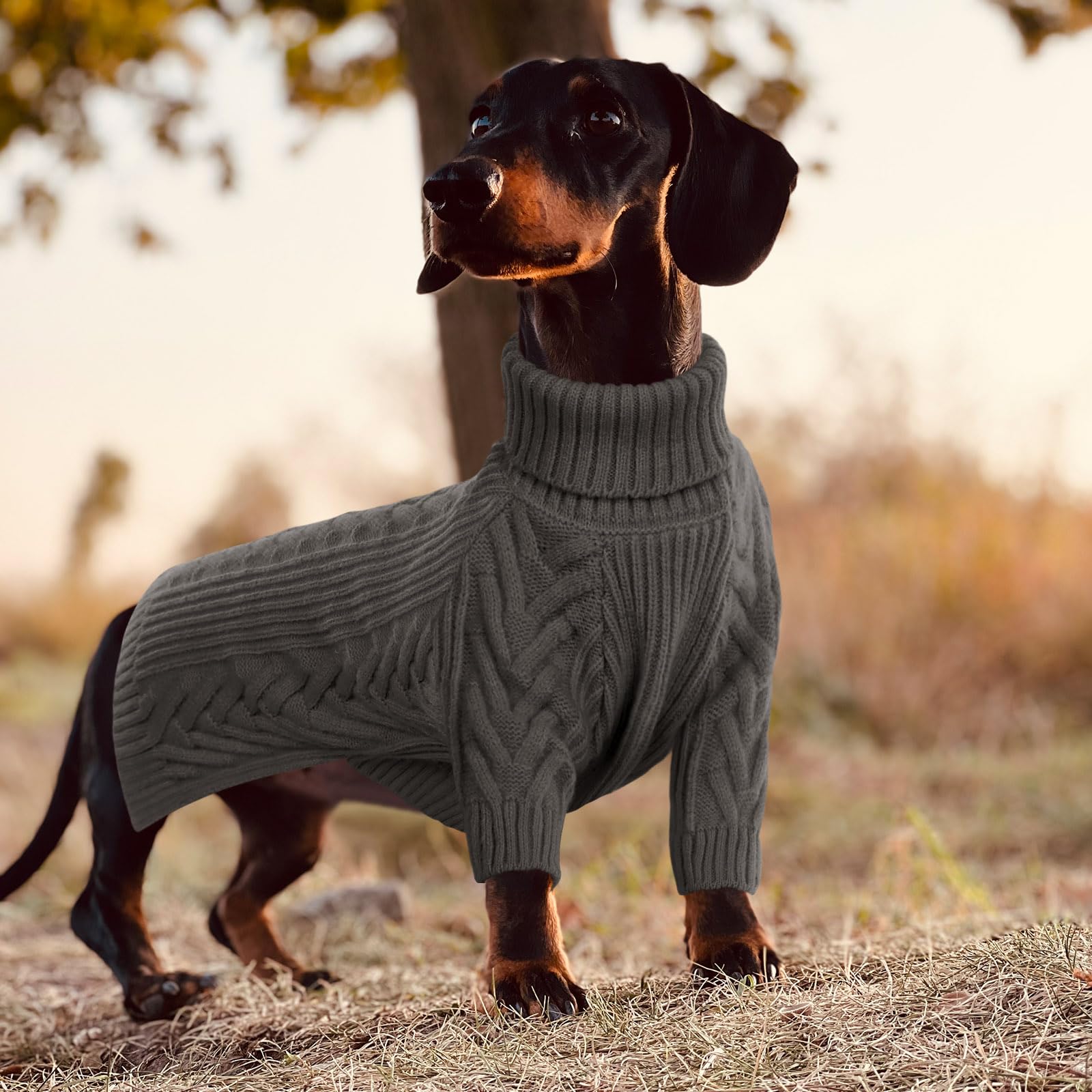 ASENKU foldable cuffs and collar deliver full coverage during chilly outings.
