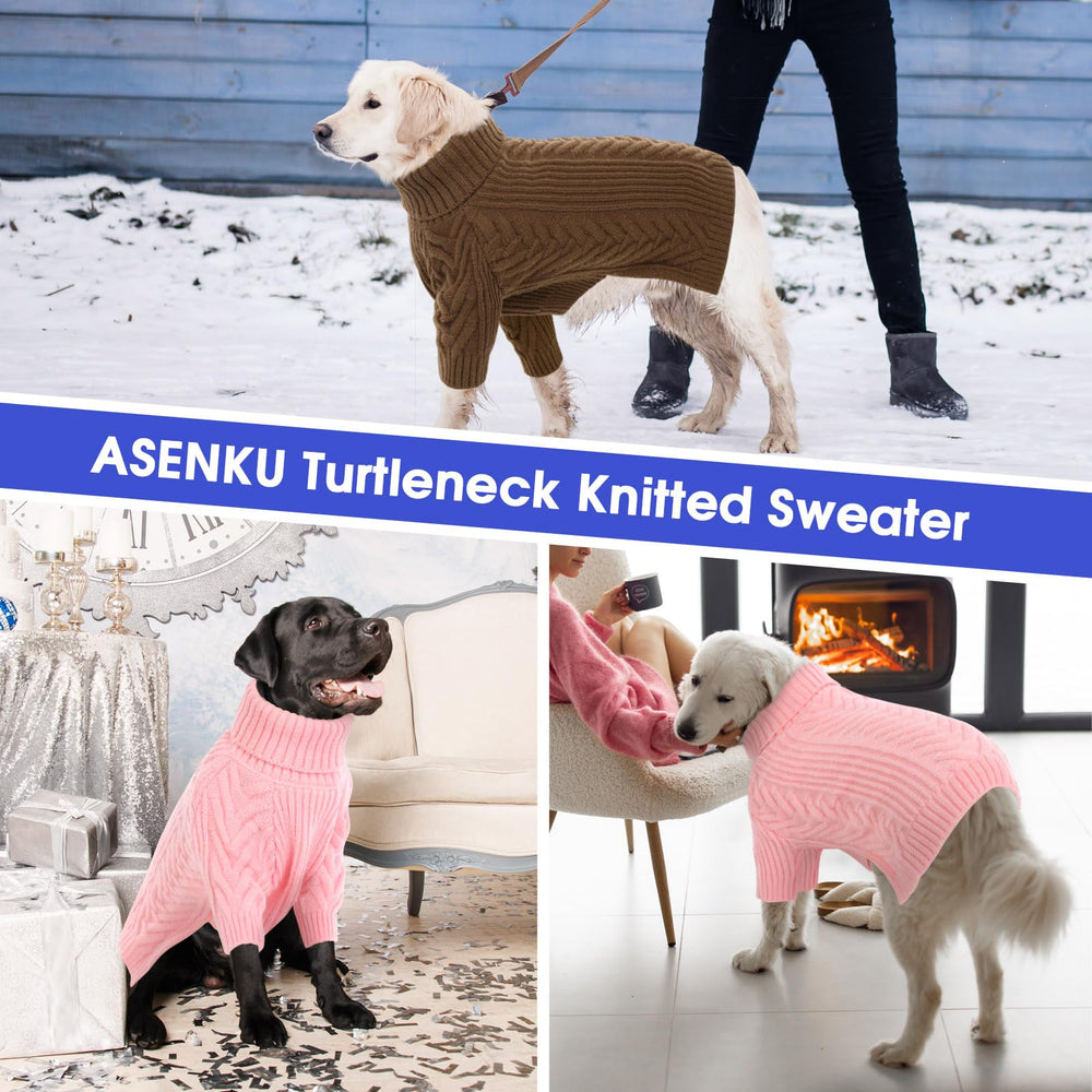 ASENKU dog wearing sweater on walk for chilly day readiness.