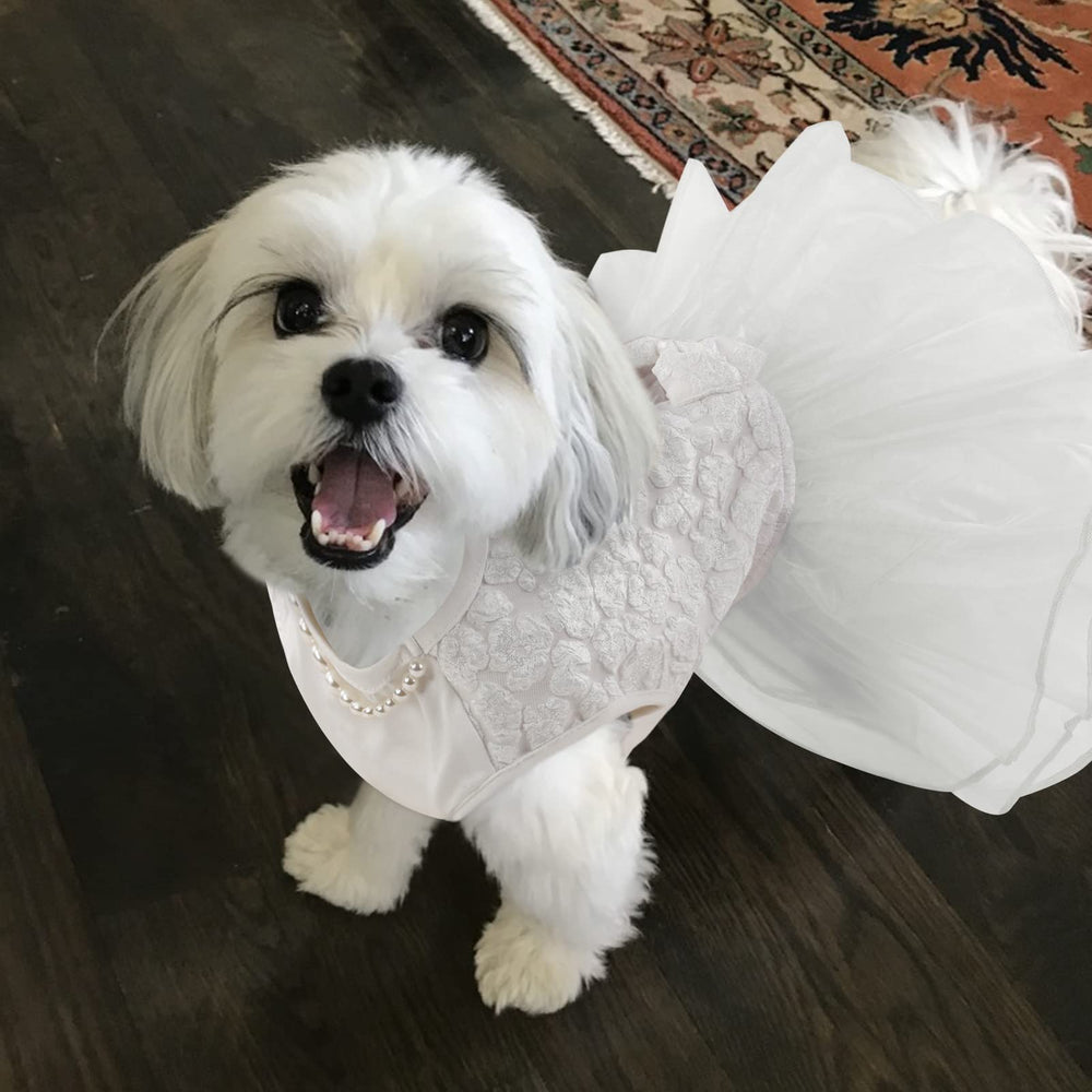 ASENKU dog dress soft polyester fabric feels skin-friendly during wear