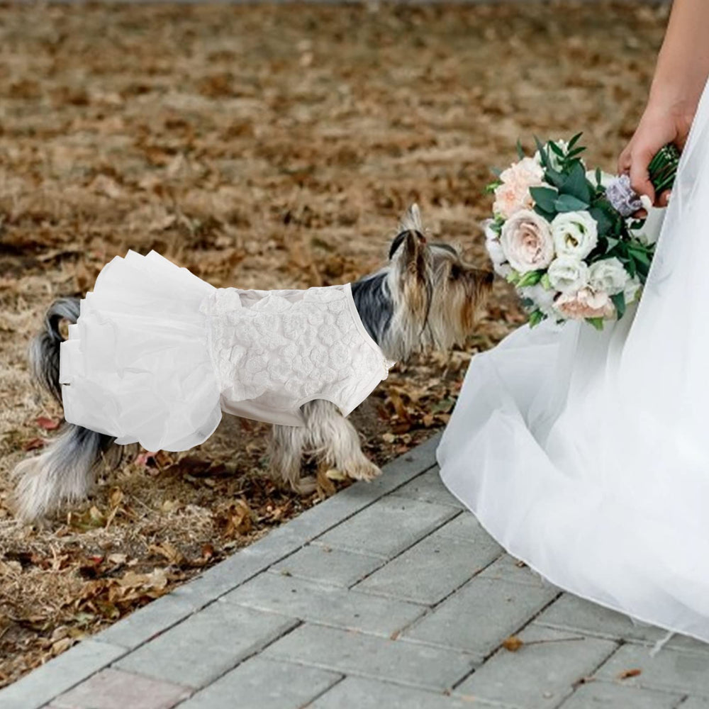 ASENKU veil with bows and pearls completes the look