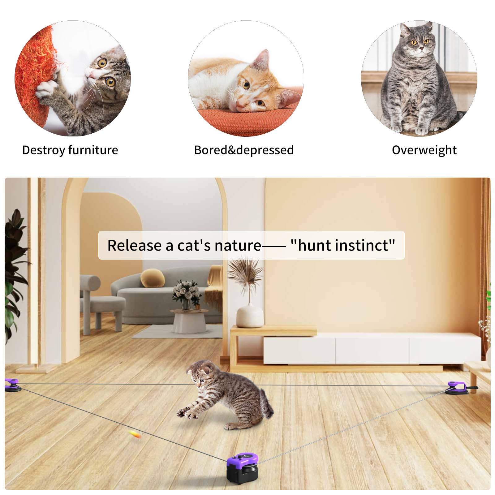AsFrost DIY-trajectory clips let cats chase along varied paths