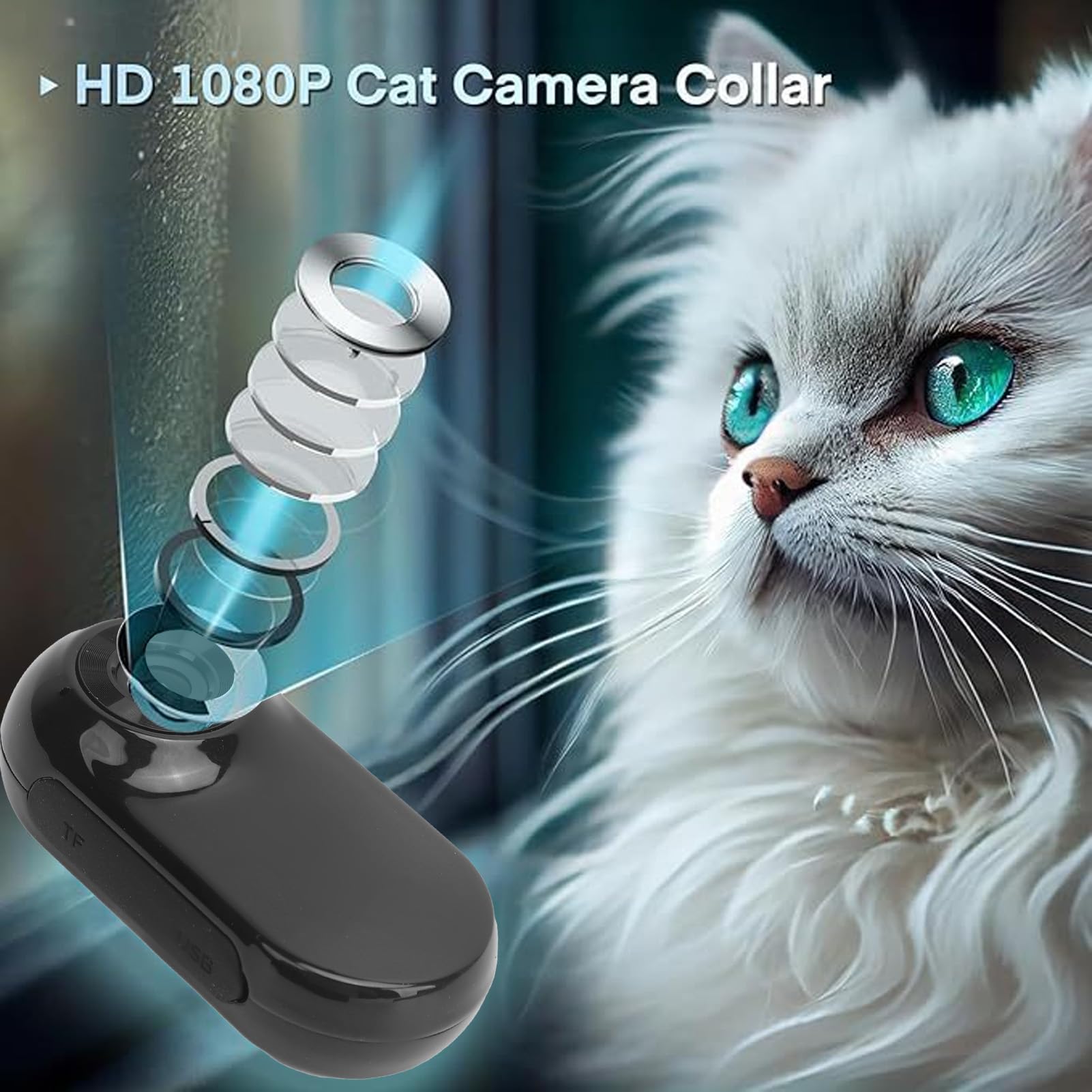 ASHATA cat collar camera AVI video format clip sample