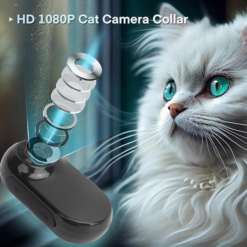 ASHATA cat collar camera AVI video format clip sample