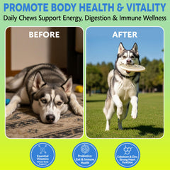 Asher House Wellness dog multivitamin chews heart-brain highlight cognitive support and heart health.