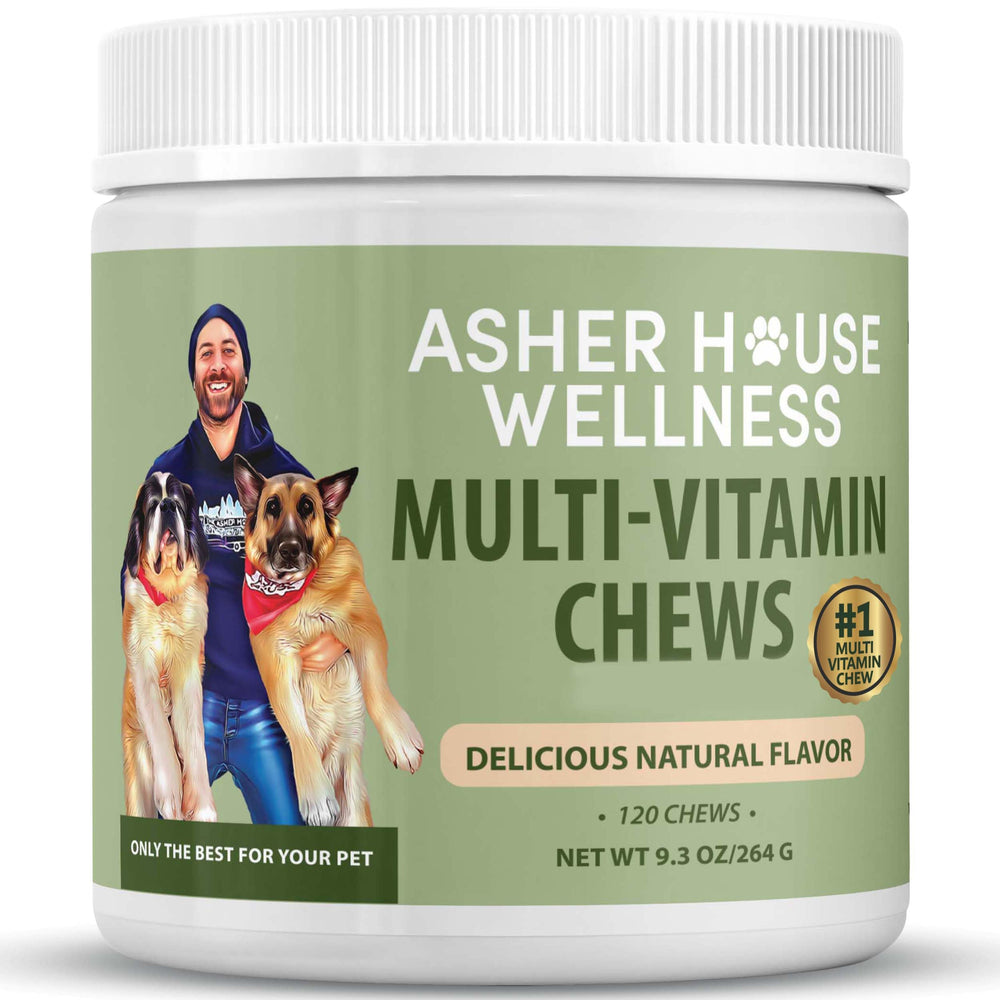 Asher House Wellness dog multivitamin chews puppy-bowl show daily nutrition and tasty appeal.
