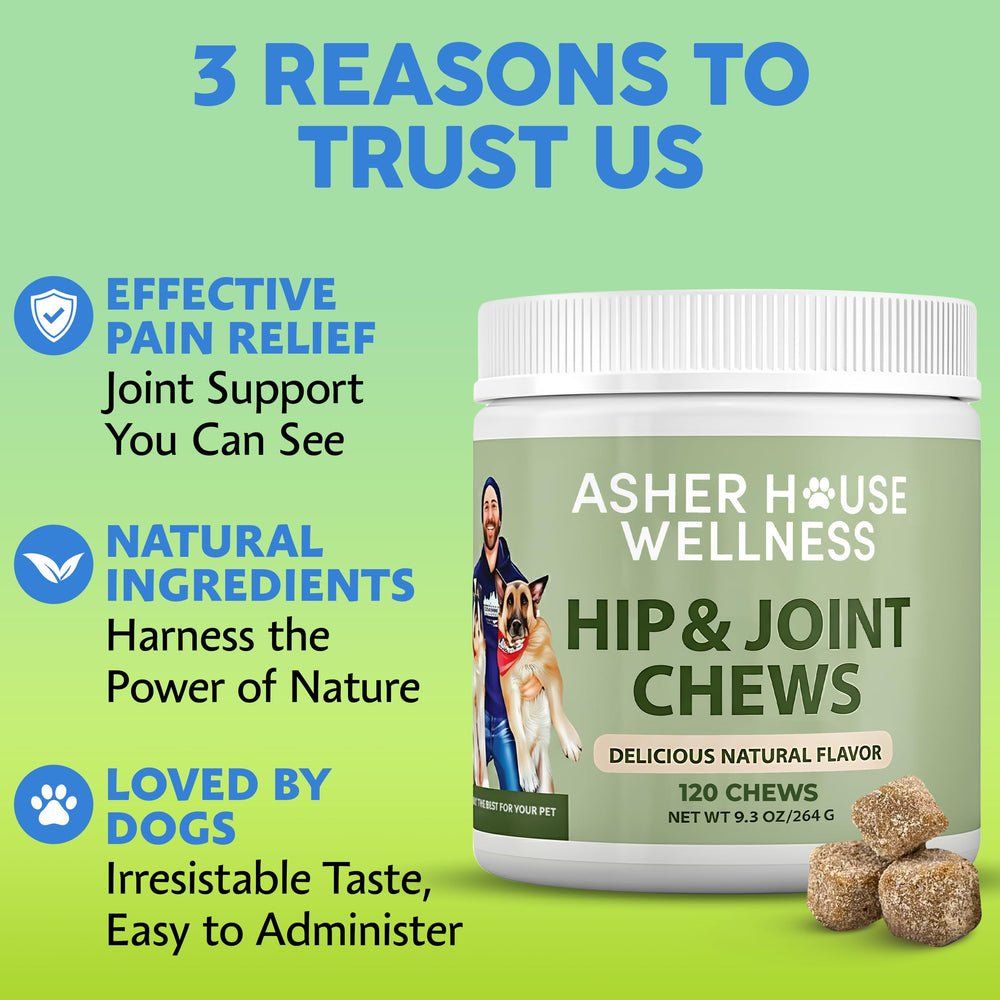 Asher House Wellness dogs enjoying treat; supports joint comfort during playtime.