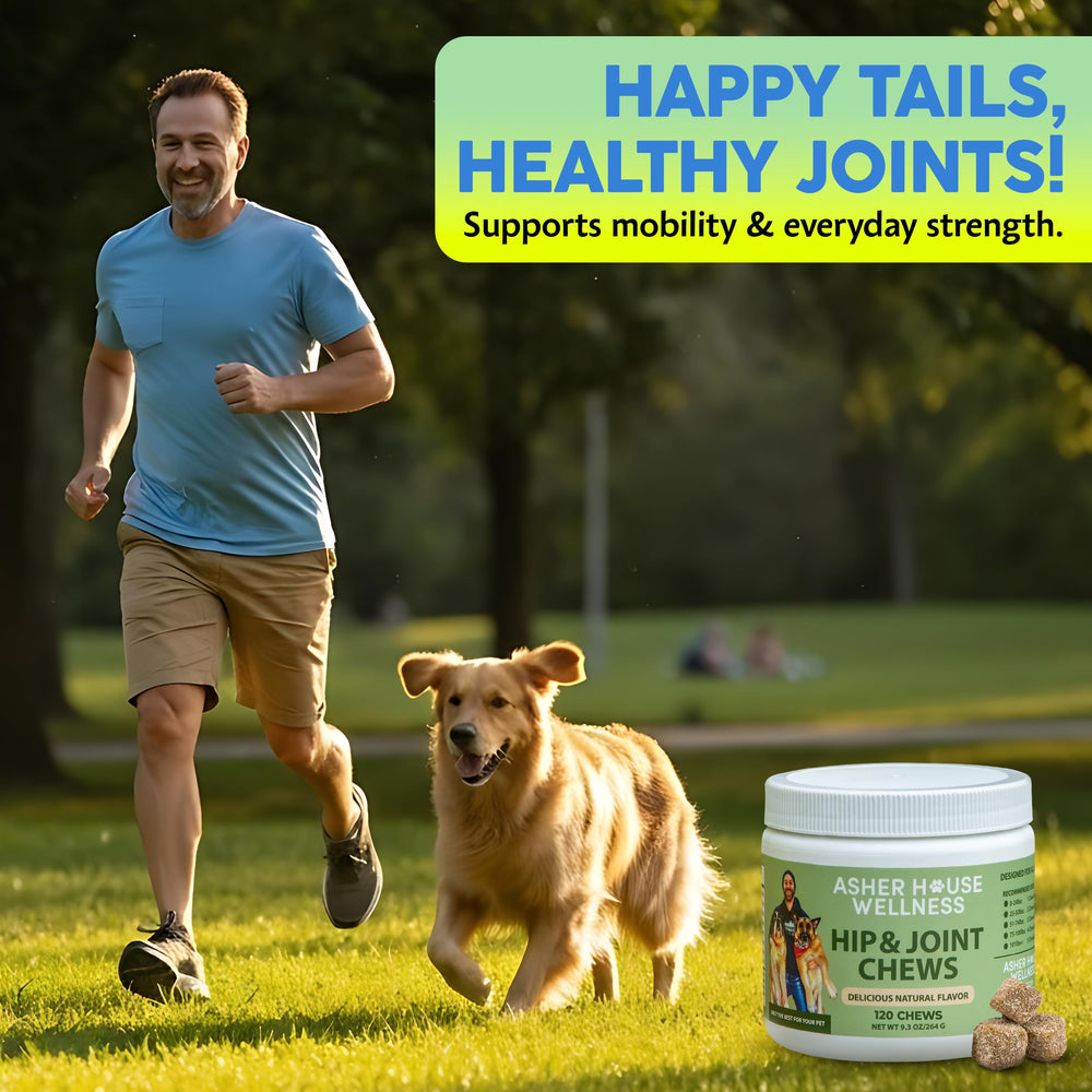 Asher House Wellness senior dog mobility; chews aid comfortable movement during walks.