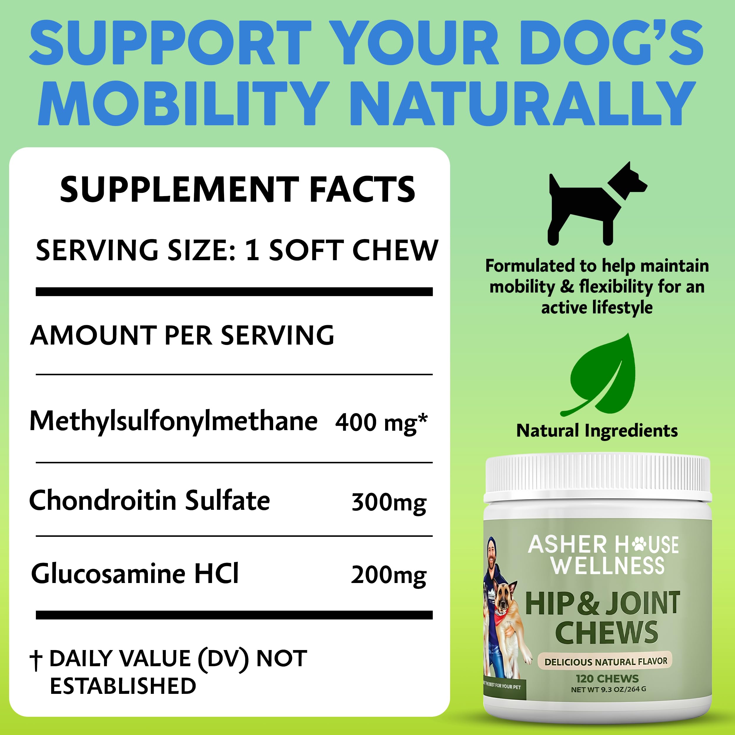 Asher House Wellness soft-chew closeup showing easy-to-chew texture for senior dogs.