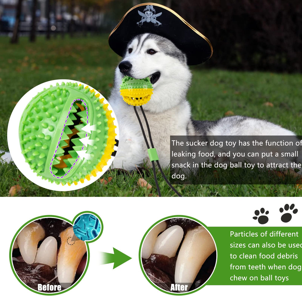 Askhald puzzle-treat-ball challenges dogs with treat dispensing