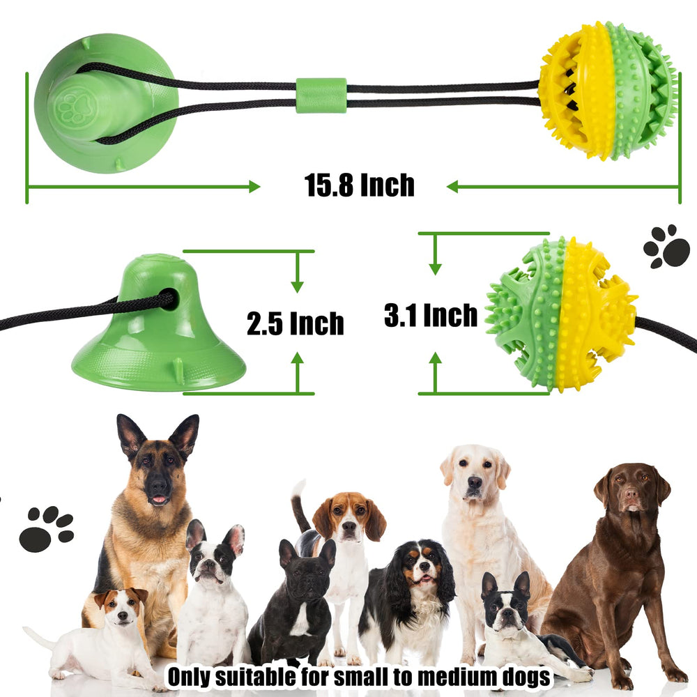 Askhald suction-cup-training keeps the toy stable during bite practice