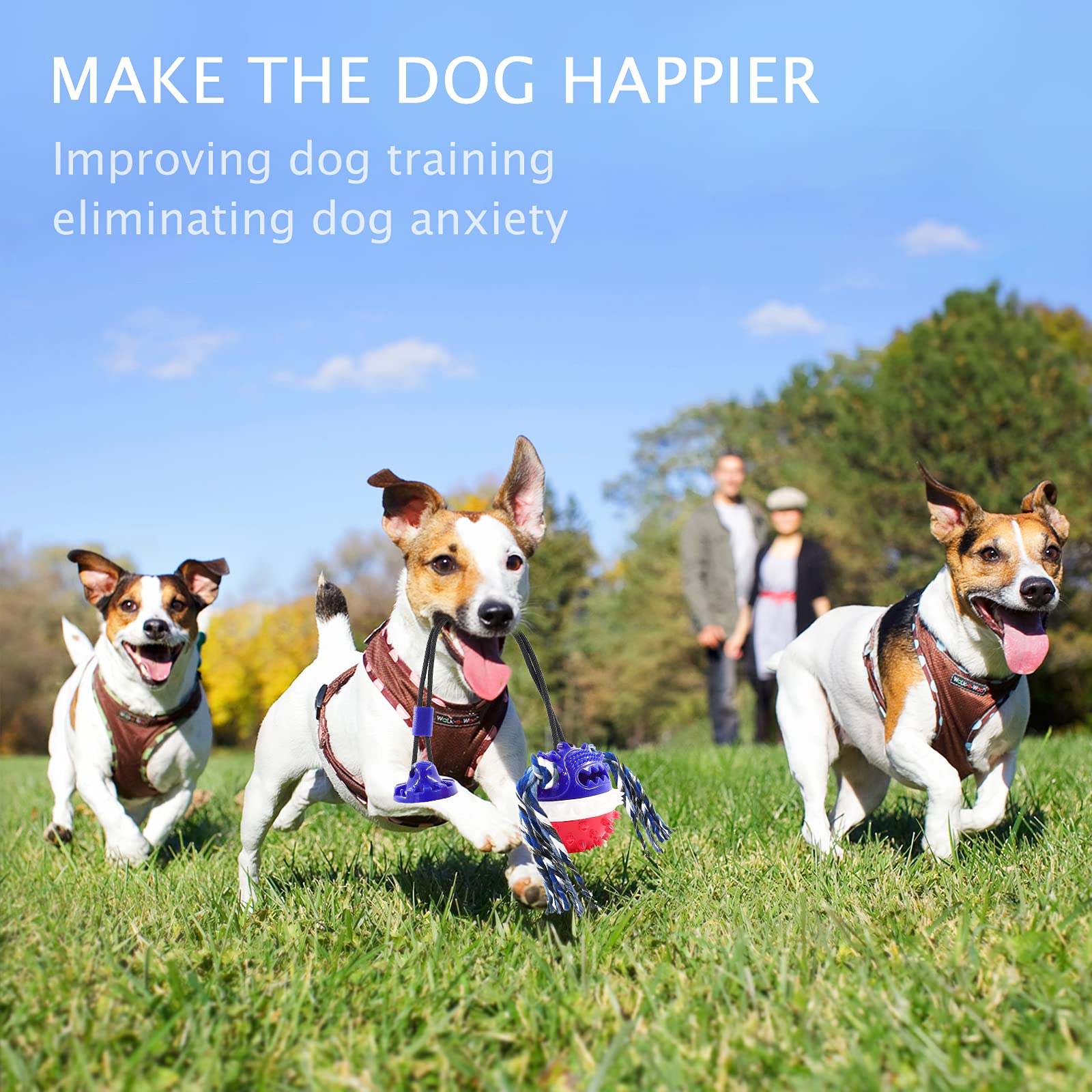 Askhald easy-clean dog-toy after messy chews