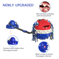 Askhald teething-treats dog-toy in action for engaging chew sessions