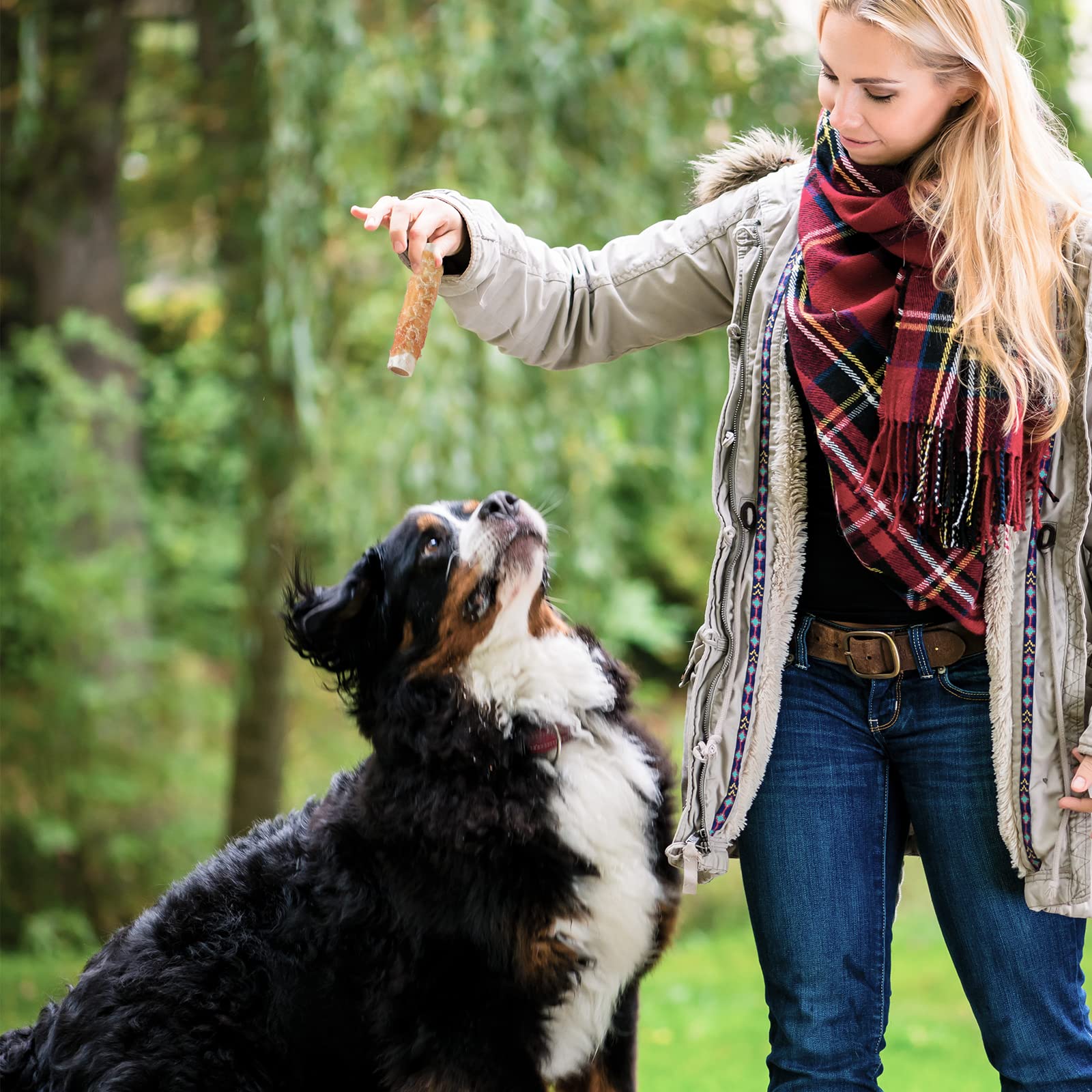 ASMPET Bones may support focused chewing and stress relief during play.