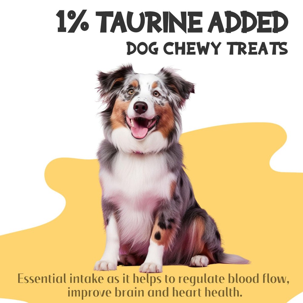 ASMPET Grain-free dog treats in a simple snack session.
