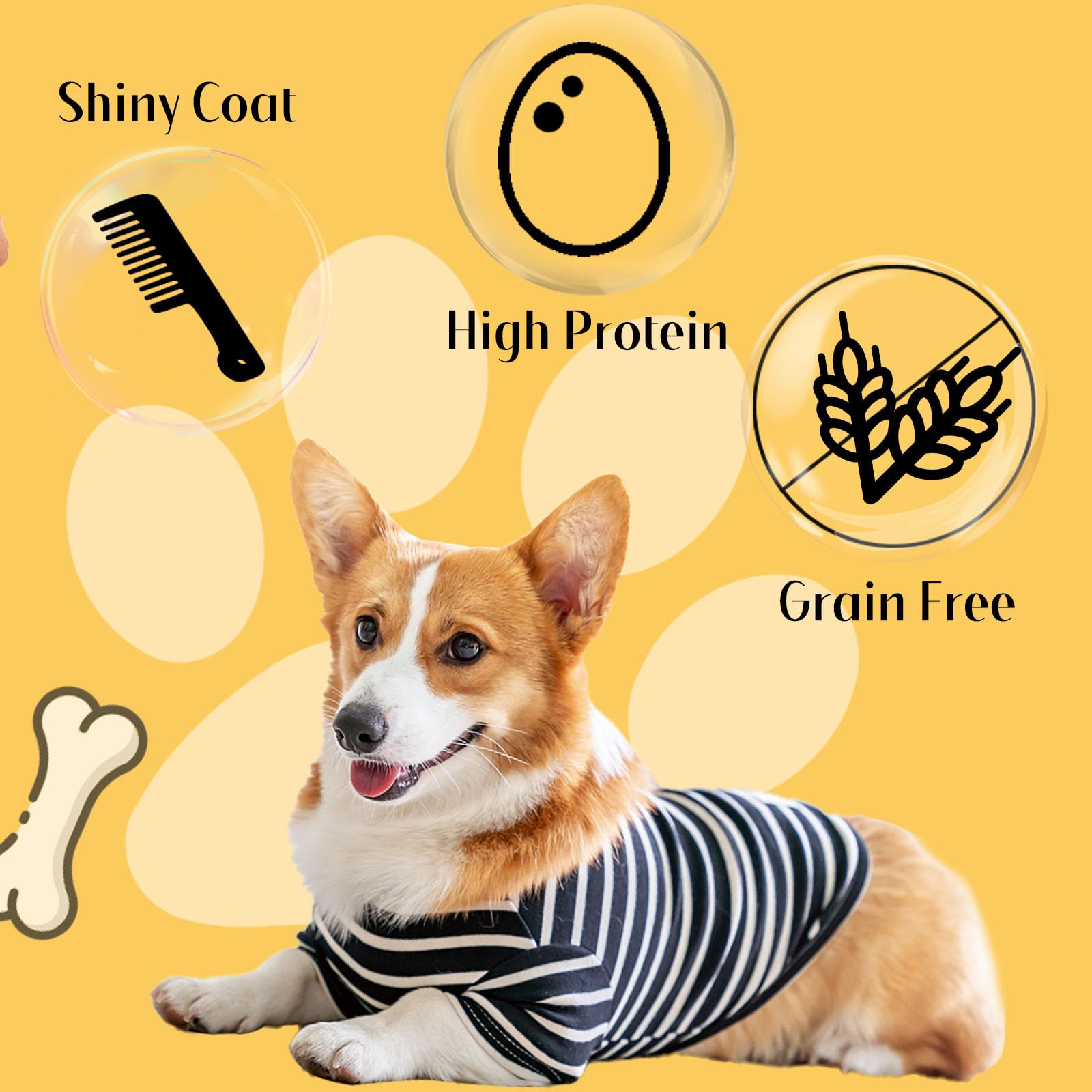 ASMPET ingredients label shows natural, additive-free chicken chips.