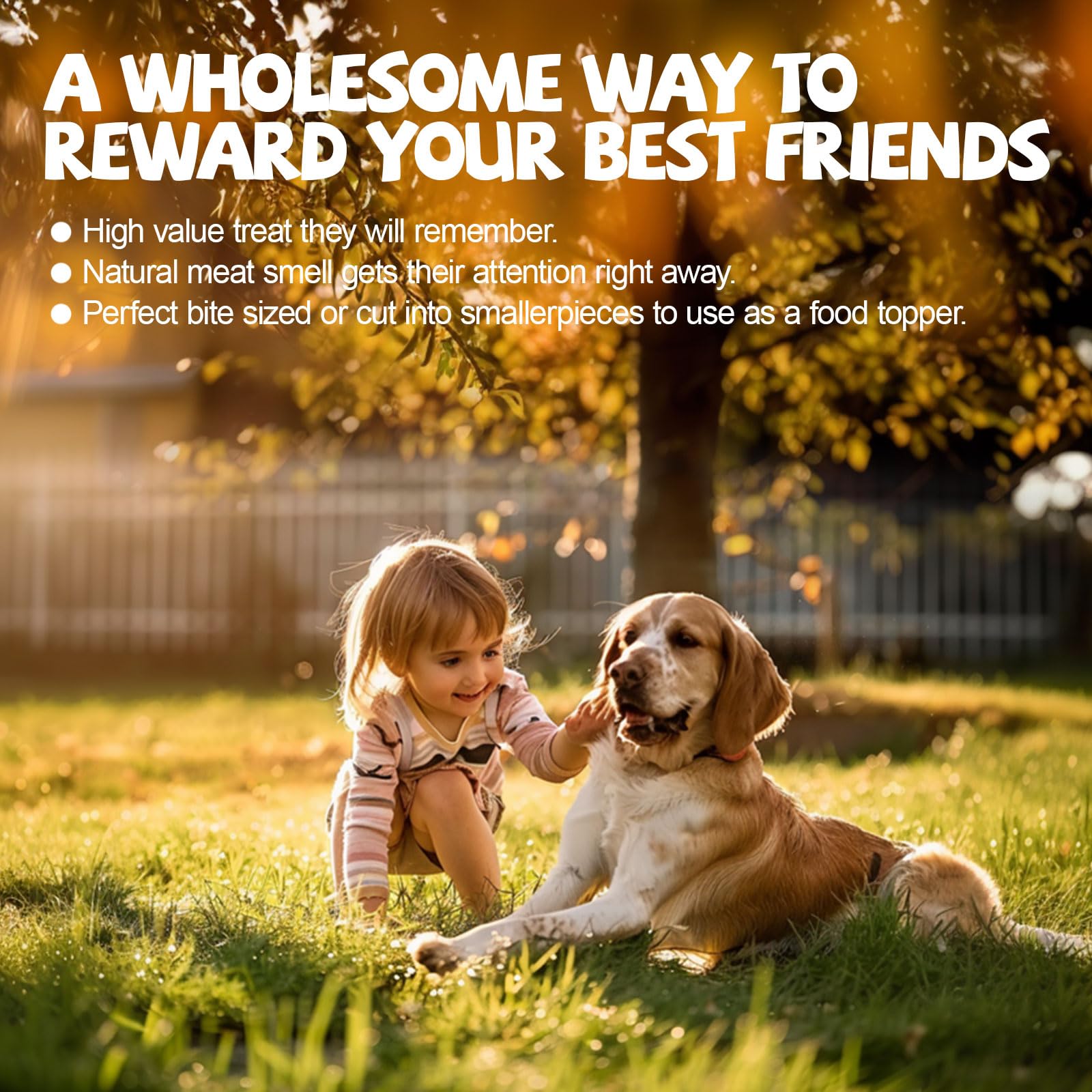 ASMPET rawhide-free digestible chew underscores safe, long-lasting entertainment for dogs.