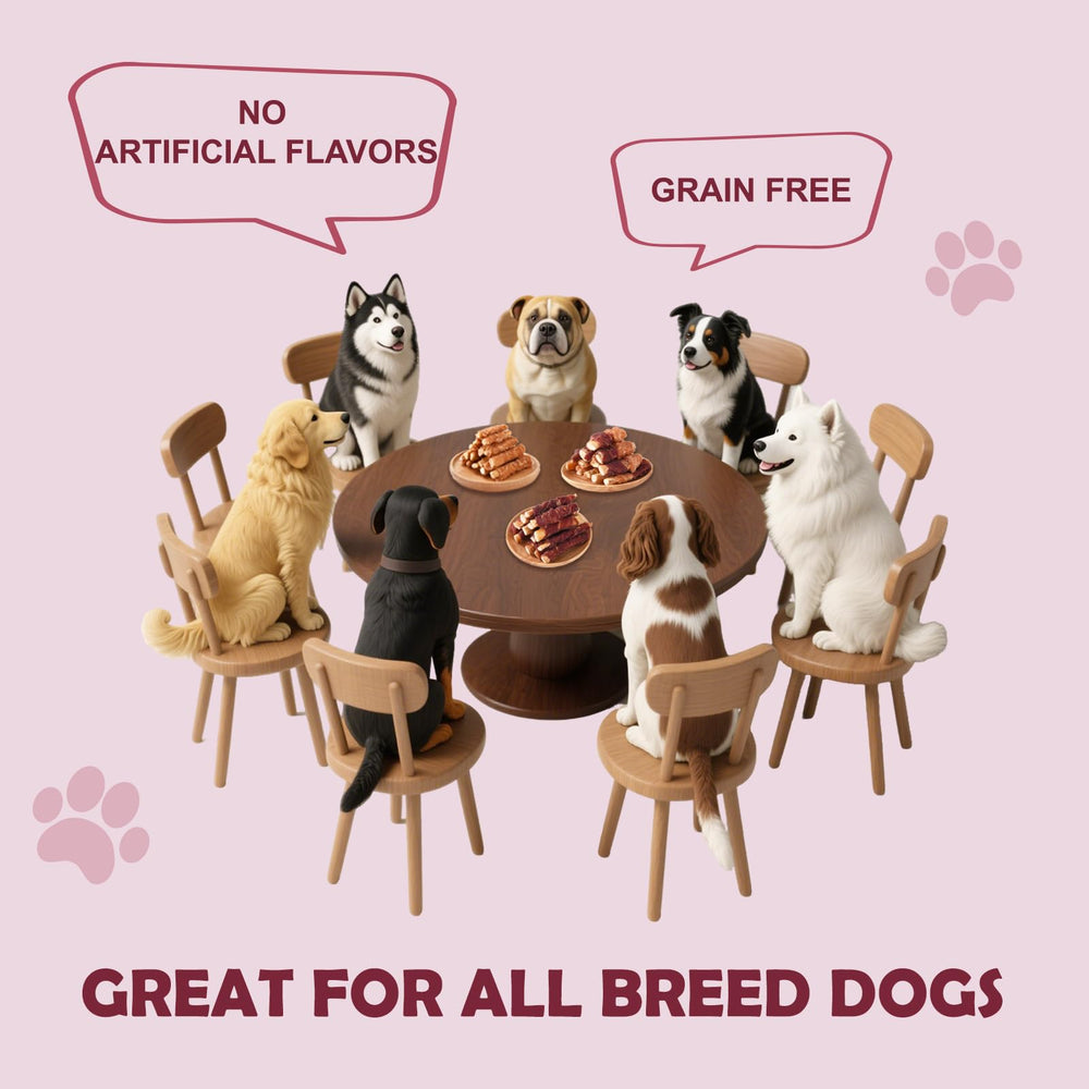 ASMPET size-variations display shows suitability for small to large dogs.
