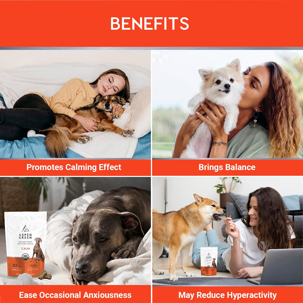 Aspen Green veterinarian-formulated chews for dogs shown in a bowl for calm moments.