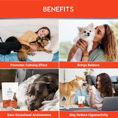 Aspen Green veterinarian-formulated chews for dogs shown in a bowl for calm moments.