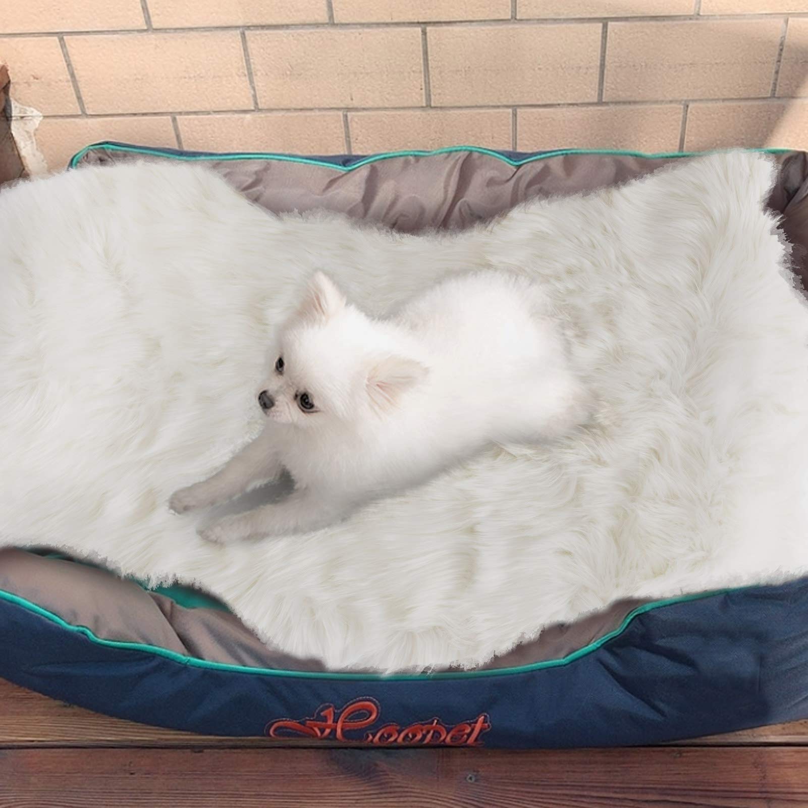 Asrug plush dog mat provides fluffy warmth for naps and playtime.