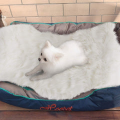 Asrug plush dog mat provides fluffy warmth for naps and playtime.