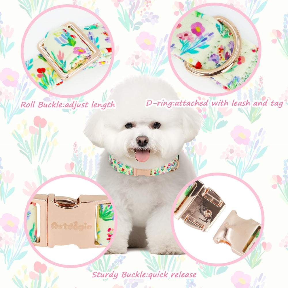 Astdogio soft fabric collar offers breathable comfort for daily wear and casual park visits.