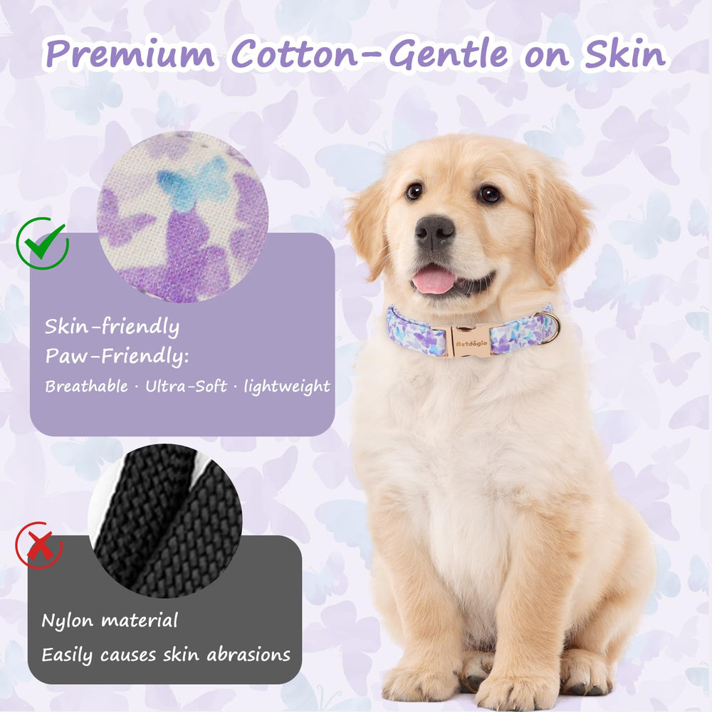Astdogio gradient design on collar front makes a bold fashion statement